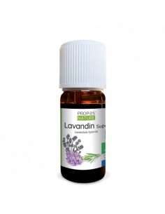 Óleo Essencial de Lavandin...