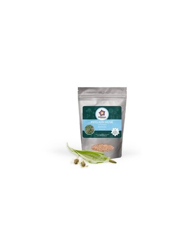 Psyllium Husk em Pedaços Bio 125g