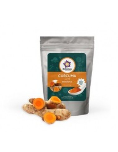 Curcuma em Pó Bio 125g