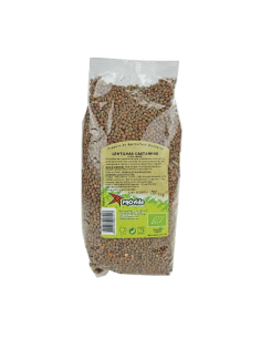 Lentilhas Castanhas Bio 1Kg