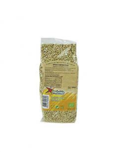 Trigo Sarraceno Bio 500g