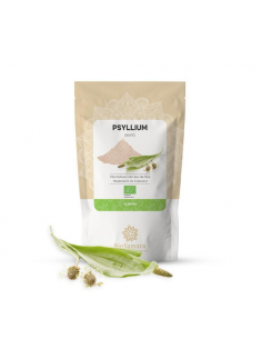 Psyllium Husk em Pó Bio 125g
